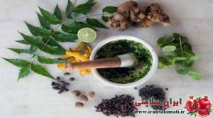 Digestive Diseases and herbal medicine